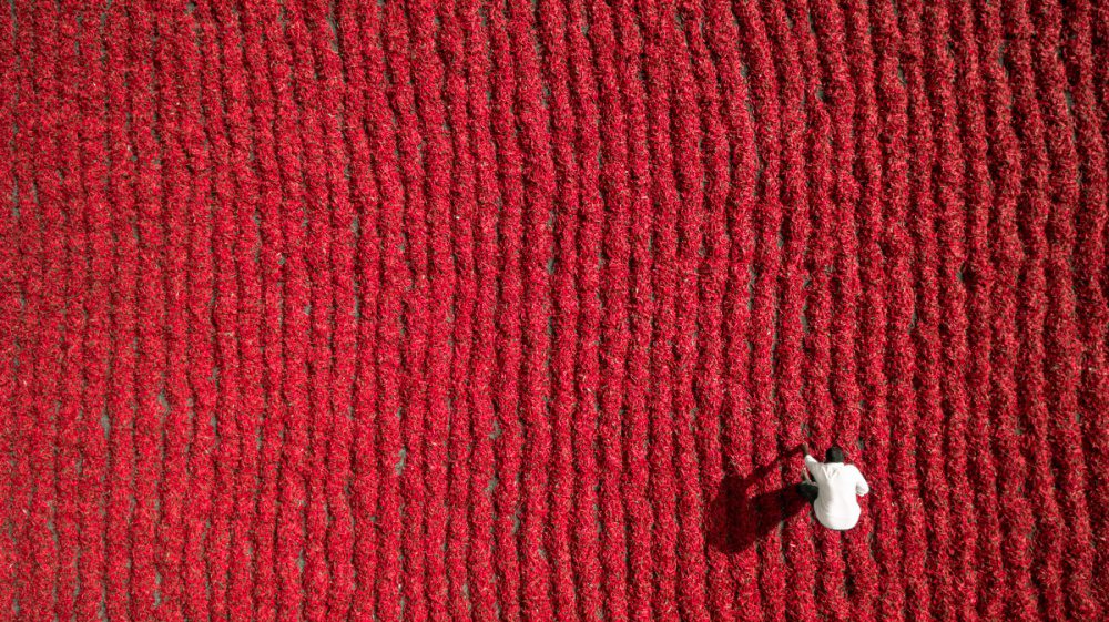 Exceptional Photographs From A Birdâ€™s-Eye View