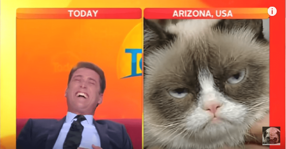 a-compilation-of-hilarious-news-anchors-bloopers